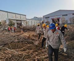 山東魯野鋼結(jié)構(gòu)工程有限公司組織員工進(jìn)行挖樹植樹活動